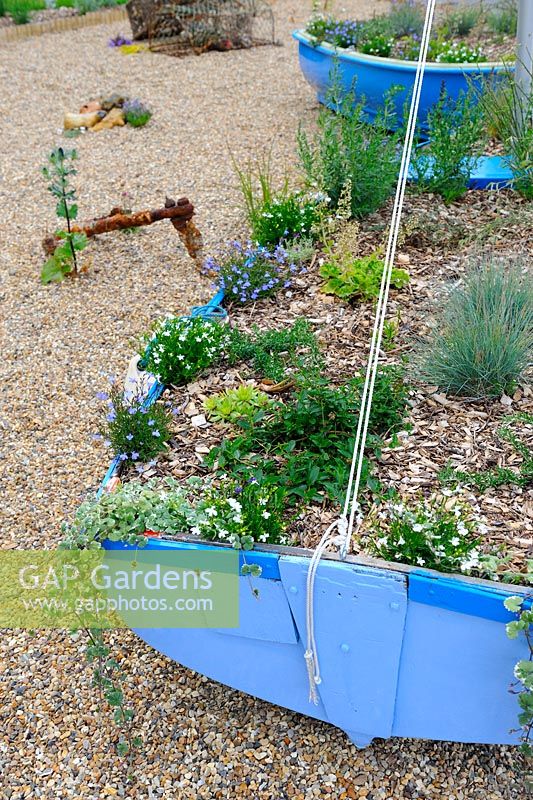 Nautical themed garden with boats planted with perennials and grasses, Norfolk, England, June
