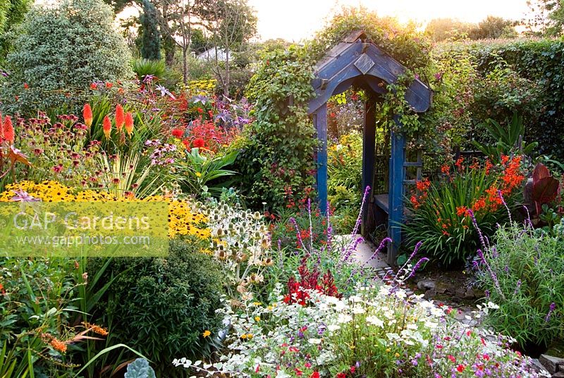 Sunken garden includes a vibrant mix of colourful perennials including Rudbeckias, Eryngiums, Kniphofias, Crocosmias and Echinacea. Poppy Cottage Garden, Roseland Peninsula, Cornwall, UK