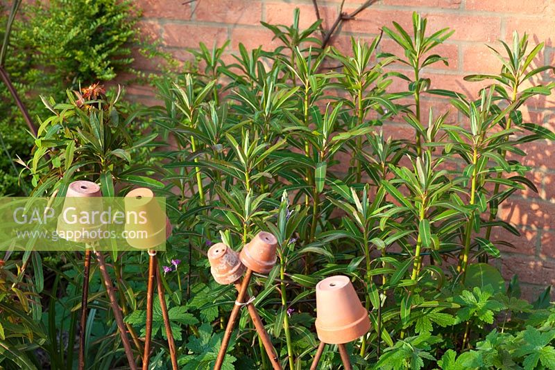 Clay pots used as cane toppers