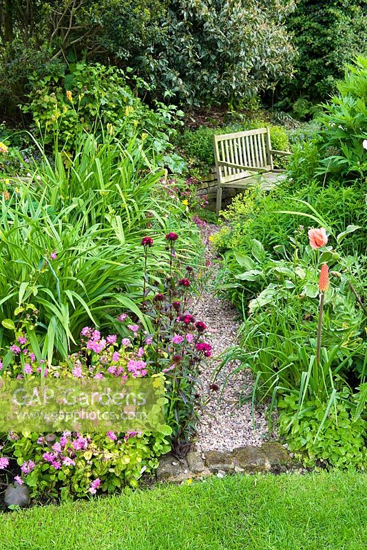 Narrow path leads through plantings of Hemerocallis, Dianthus barbatus - Sweet William, Hosta, Kniphofias, Verbascum and Aquilegia.  Silene dioica 'Variegata' is front left. Millpool garden.