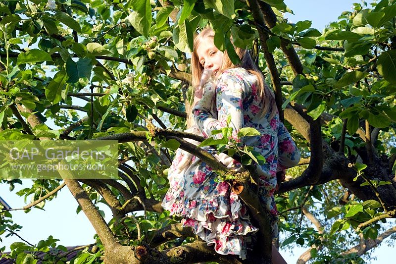 Young girl climbing Apple tree