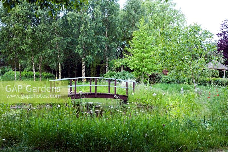 Pond and bridge with naturalised planting in grass including Leucanthemum vulgare - Ox  Eye Daisies and Iris - Wickets, Essex, NGS