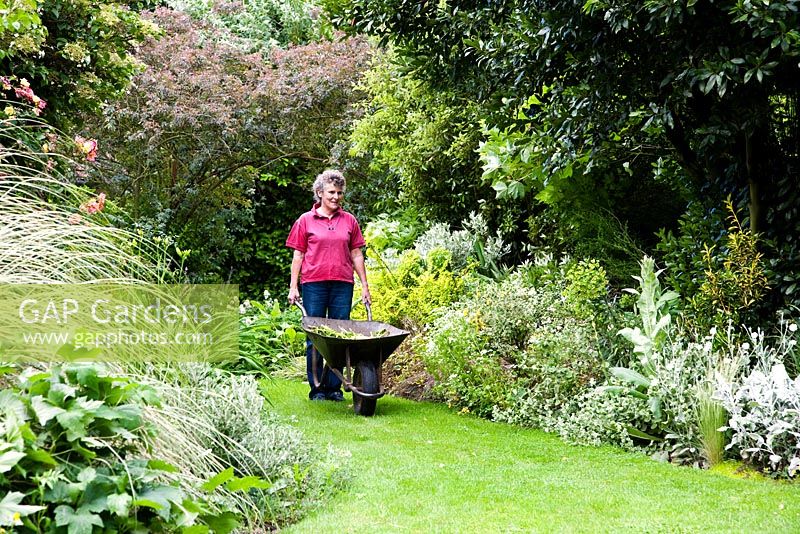 Woman working in garden in June - Holbeach Hurn, Lincolnshire, UK

