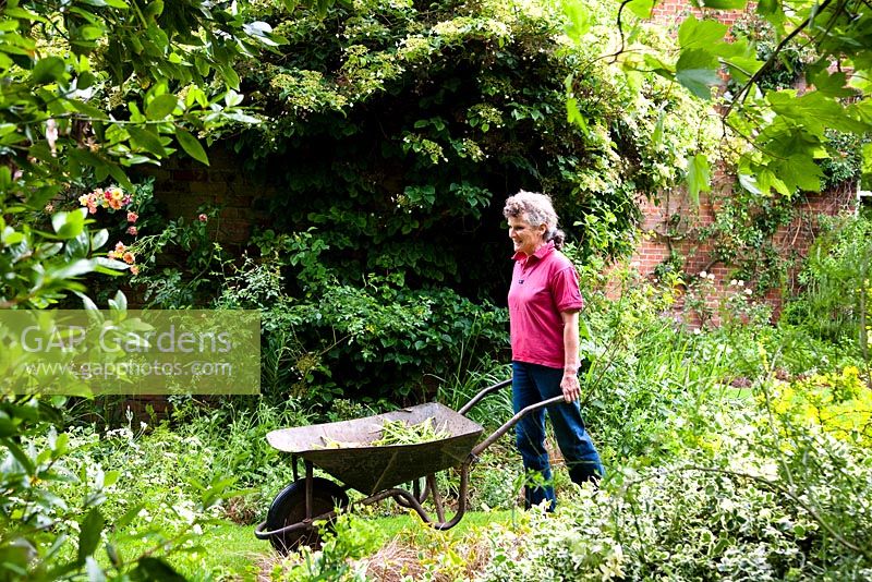 Woman working in garden in June - Holbeach Hurn, Lincolnshire, UK 
