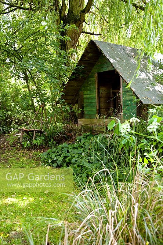 Rustic wooden shed under tree - Holbeach Hurn, Lincolnshire, UK, June 
