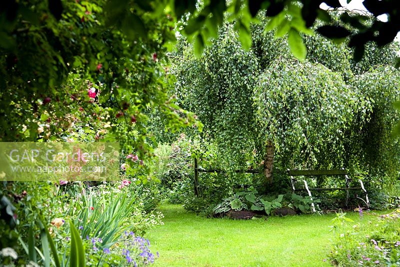 Informal country garden - Holbeach Hurn, Lincolnshire, UK, June 
