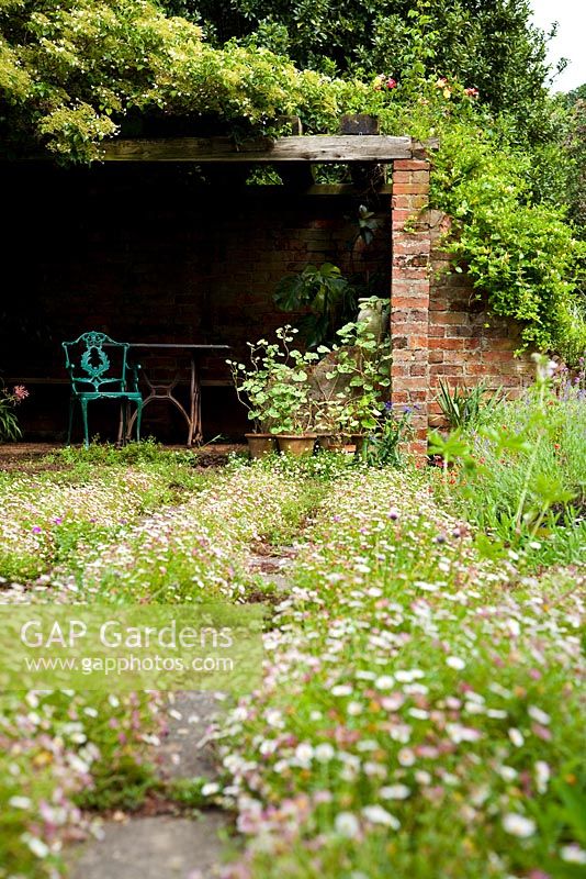 Summer garden with view to pergola - Holbeach Hurn, Lincolnshire, UK, June