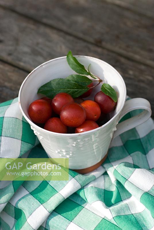 Plums in pottery mug with check cloth