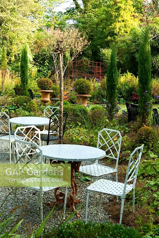Tables and chairs on the terrace surrounded by Verbena bonariensis, Alchemilla mollis, clipped Box and Cupressus sempervirens - Cypresses. The Cors, Laugharne, Camarthenshire, Wales, UK
