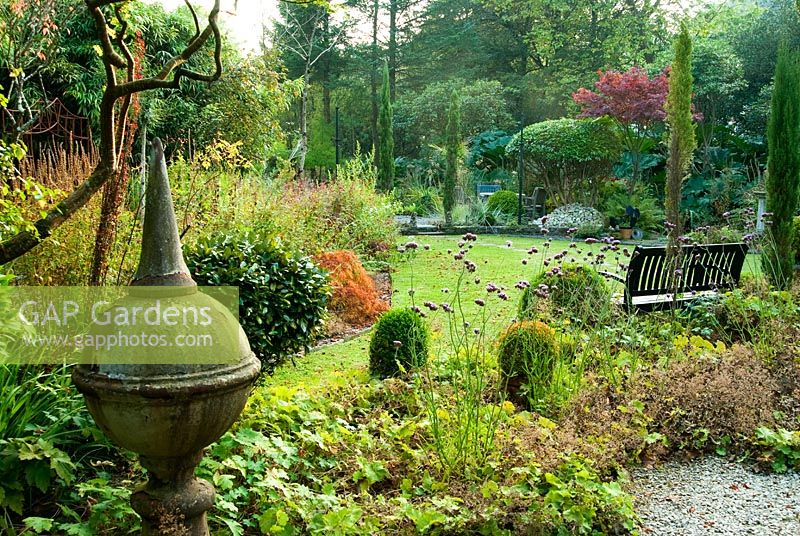 Clipped Box, Alchemilla mollis, Verbena bonariensis and Cupressus sempervirens - Pencil Cypresses, divide a gravel terrace around the house from the mossy lawn. The Cors, Laugharne, Camarthenshire, Wales, UK