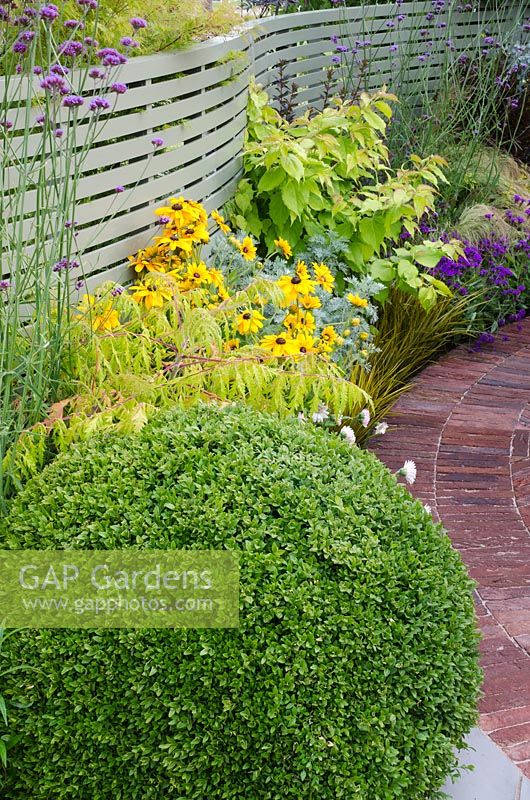 Mixed border with Buxus ball, Rudbeckia 'Dublin', Rhus 'Tiger Eyes', Verbena bonariensis next to a brick path and painted curved fence - Heart Healthy Garden, sponsored by Flora pro.activ - BBC Gardeners' World Live 2011