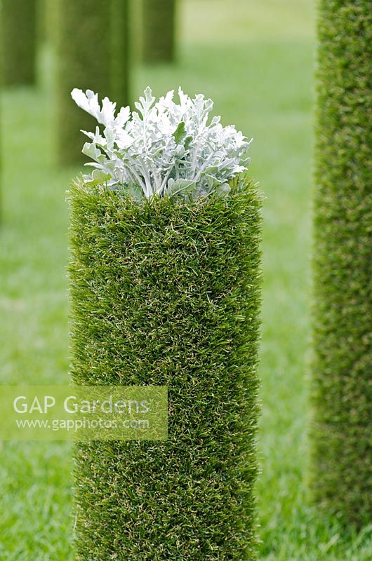 Grass pillar topped with Cineraria maritima - Grass Garden - BBC Gardeners' World Live 2011