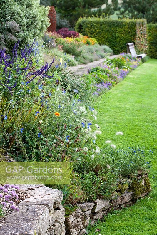 Late summer borders - Derry Watkins Garden at Special Plants, Bath, UK