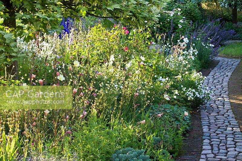 Summer garden, cobble and brick paths wind through informal borders - The Corner House, Wiltshire.