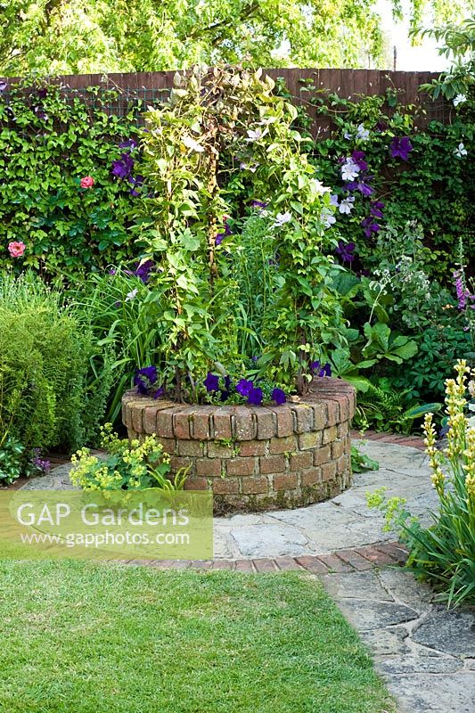 Wishing well garden feature with Clematis 'Ekstra'