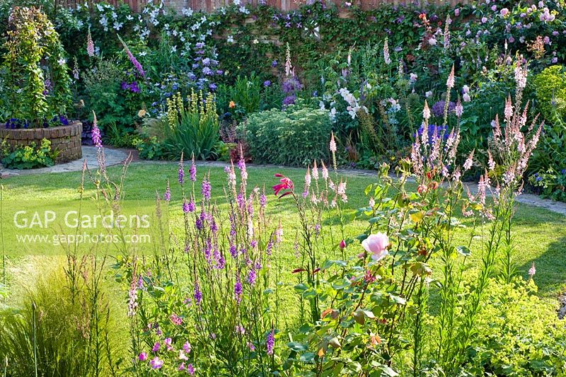 Cottage-style borders in evening light, Linaria in foreground