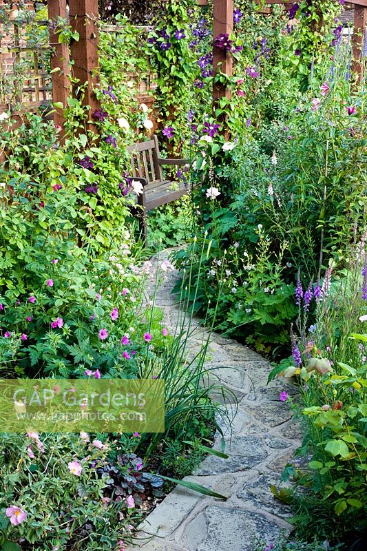 Path leading to seat with border plants including Linaria 'Canon Went', Clematis and Roses 
