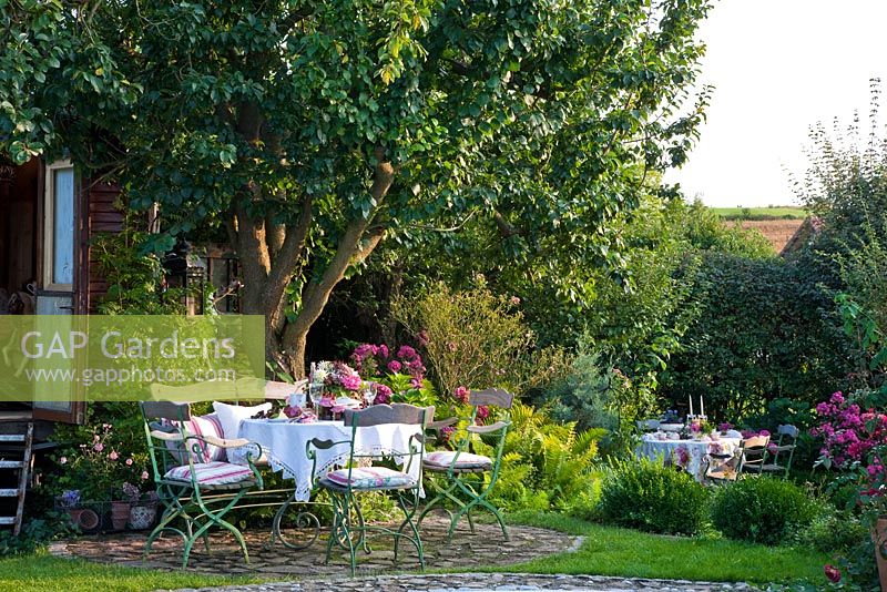 View to sitting areas with dressed tables and wooden iron furniture on different levels of a romantic garden with, Buxus, Hydrangea macrophylla and Matteucia struthiopteris