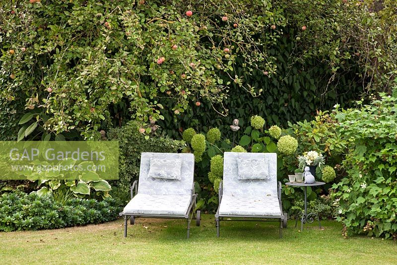 Two metal loungers and a small table in front of planting with, Hosta 'Sagae', Euphorbia amygdaloides var. robbiae, Kitaibela and Malus domestica