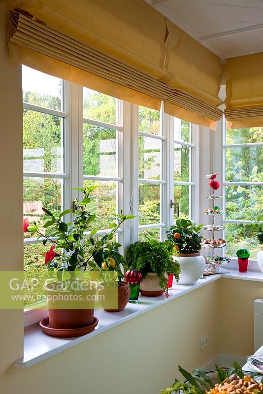 Plants in containers and an étagère on a window shelf inside a veranda