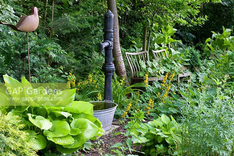 Water well with tin tub, decorative metal bird and wooden chairs next to Hosta and Lysimachia punctata