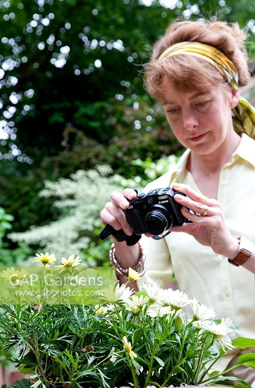 Lady photographing flowers in pot