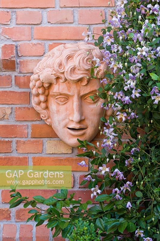 Ornamental terracotta figure on brick wall next to Clematis viticella 'Hanna'