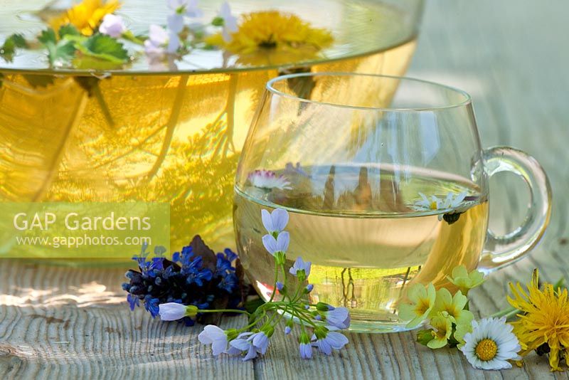 Spring meadow with glass bowl and cup of herbal tea - Ajuga reptans, Bellis perennis, Cardamine pratensis, Primula elatior, Taraxacum officinale