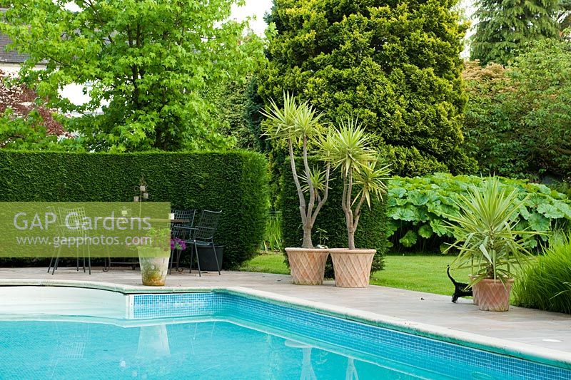 Swimming pool with seating area and potted Yucca elephantipes 'Jewel'. Darmera peltata in background  - Greenways garden, Cheshire