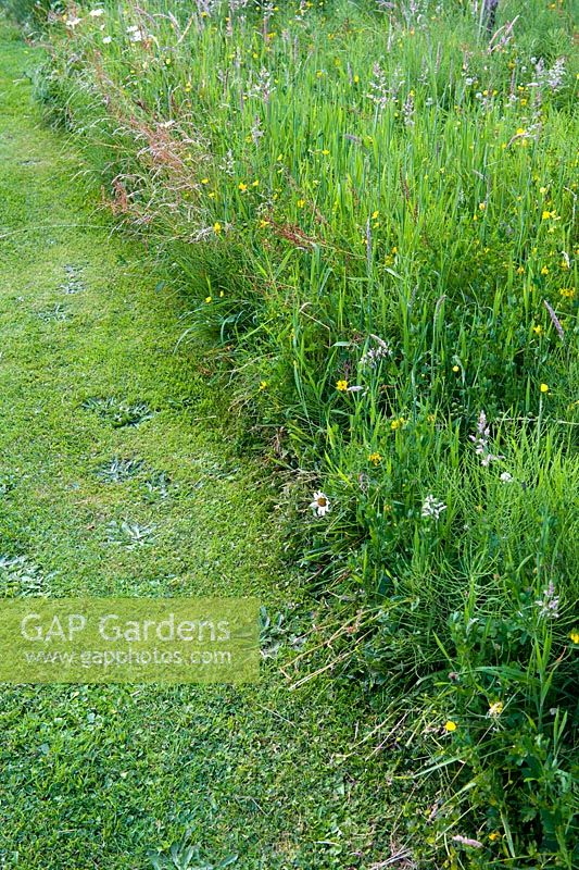 'Formal informality'. Sharp edged formal wild beds which reflect Italian Garden structure and dimensions. Planted in spring with Frittilaria meleagris, Cammassia leichtlinii, and Cowslips then open to all comers. Strimmed and mowed in August - Greenways garden, Cheshire
