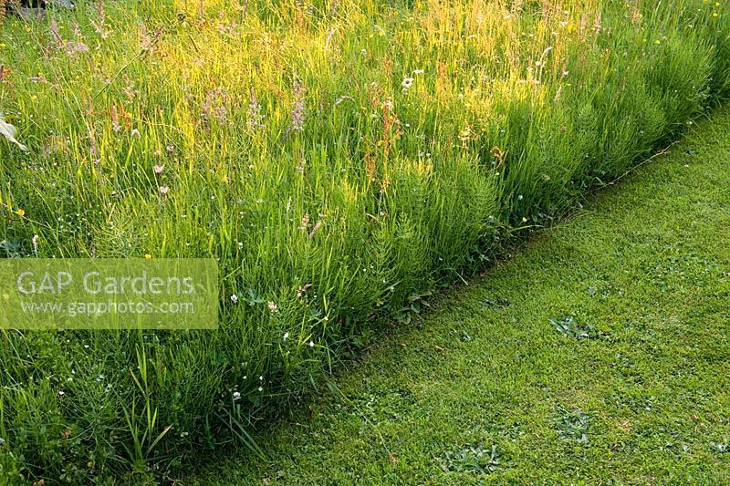 'Formal informality'. Sharp edged formal wild beds which reflect Italian Garden structure and dimensions. Planted in spring with Frittilaria meleagris, Cammassia leichtlinii, and Cowslips then open to all comers. Strimmed and mowed in August - Greenways garden, Cheshire 
