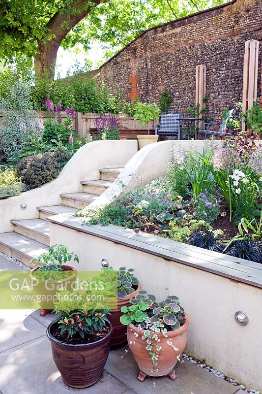 Sloping small modern garden with steps, white painted walls, terrace and tiered planting
