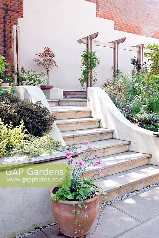 Steps through sloping small modern garden with white painted walls, terrace and tiered planting. 
