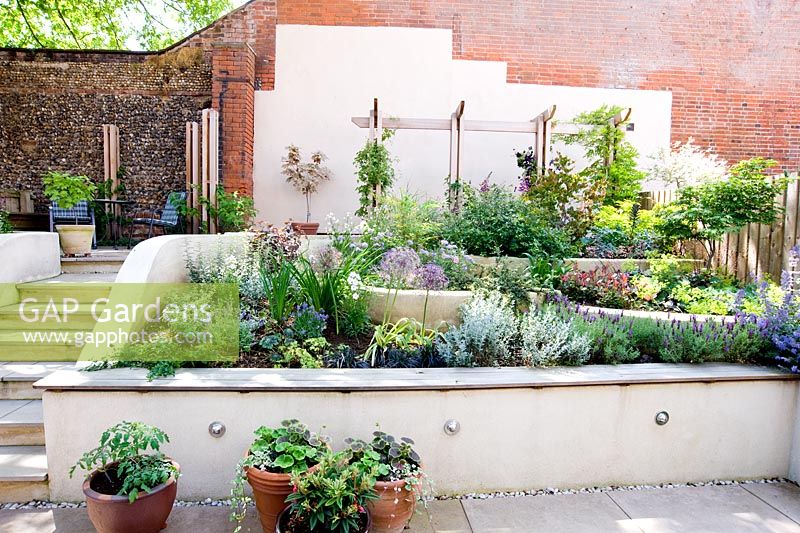 Steps through sloping small modern garden with white painted walls, terrace and tiered planting.