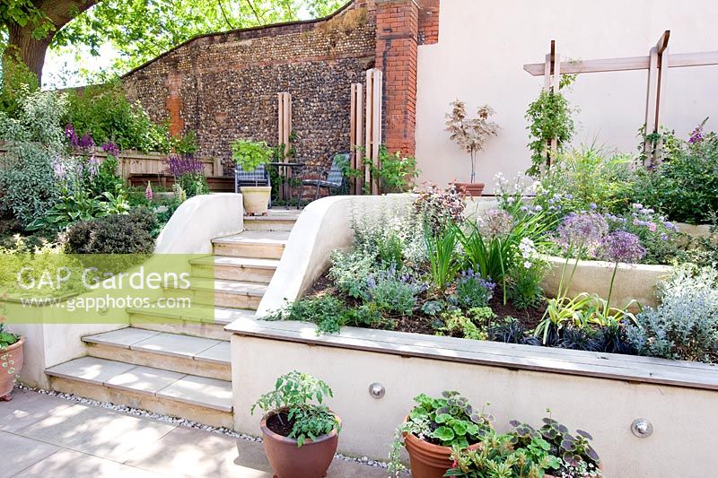 Steps through sloping small modern garden with white painted walls, terrace and tiered planting.
