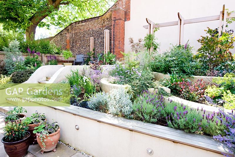 Steps through sloping small modern garden with white painted walls, terrace and tiered planting.
