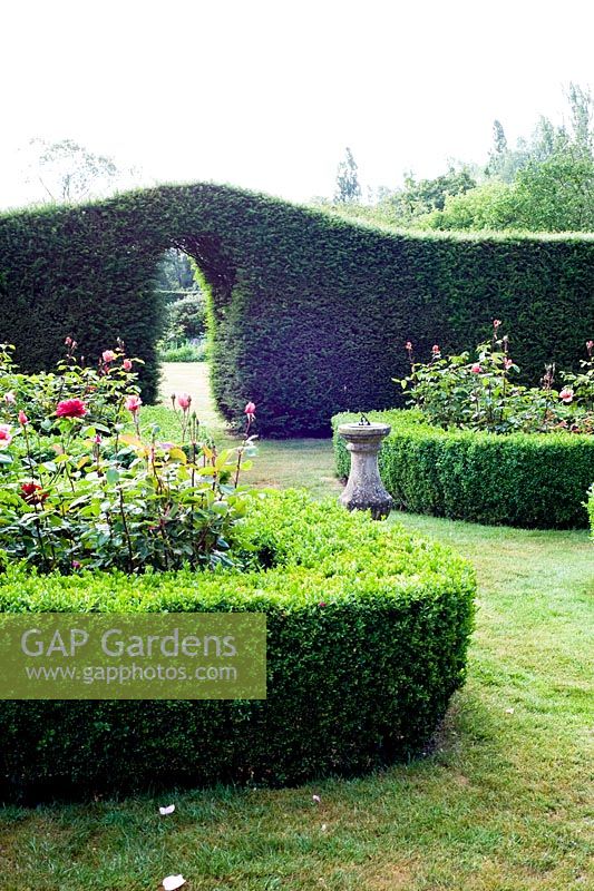 Formal Rosa - Rose garden with Taxus - Yew hedge and arch