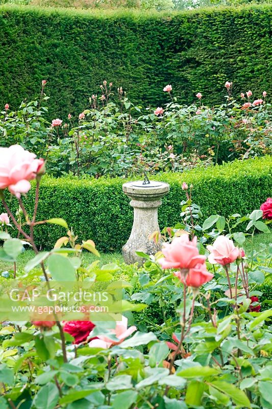Sundial in Rose garden