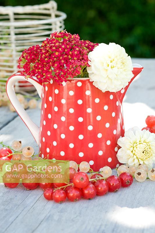 Red and white currants with polka dot jug on wooden table
