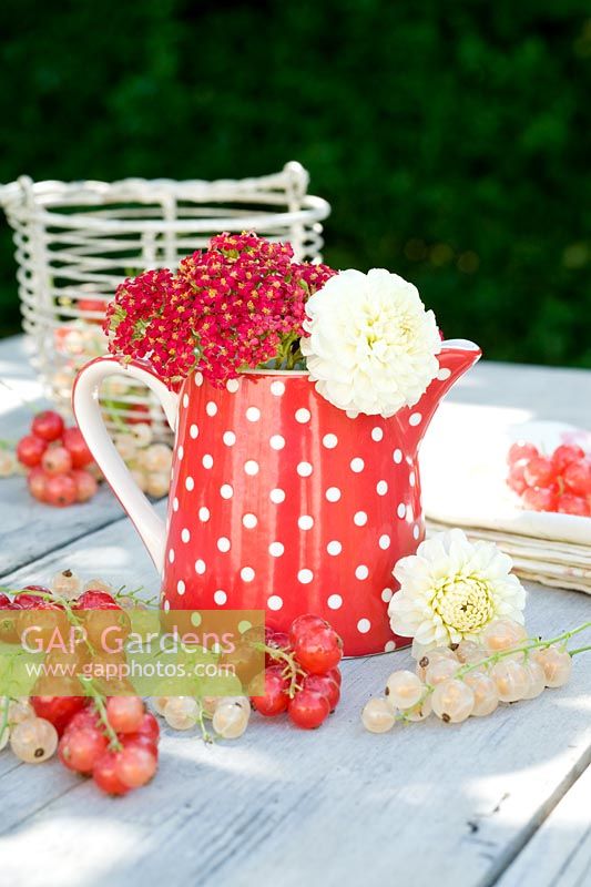 Red and white currants displayed with polka dot jug and flowers on table