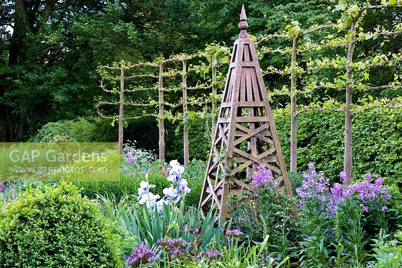 Formal early summer border with Iris 'Jane Philips', wooden obelisk and pleached Tilia - Lime hedge
