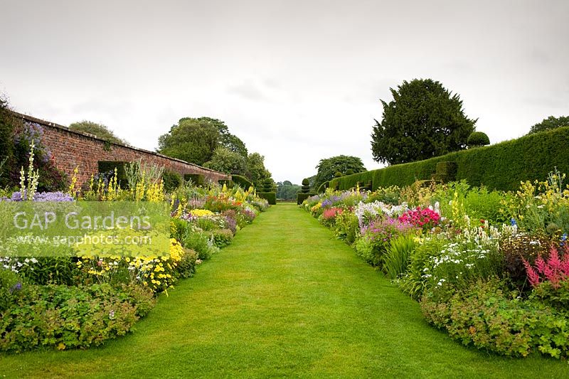 Double herbaceous border, the first such border to have been made in England. The four pairs of beds are backed on one side by an 18th century wall and on the other by a Yew hedge planted in the 19th century. Between the beds are handsome Yew finials designed by Rowland Egerton-Warburton and planted in 1856 - Arley Hall, Cheshire, early July