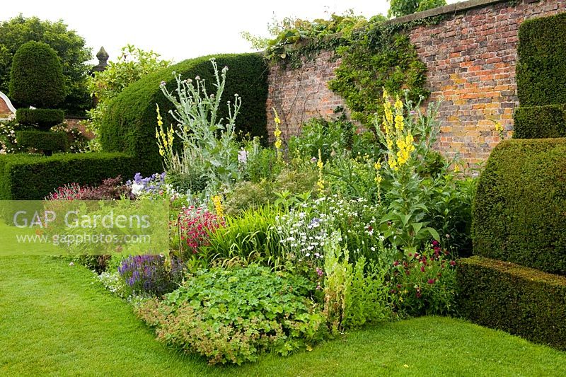 Herbaceous border. One of four pairs of beds which are backed on one side by an eighteenth century wall and on the other by a Yew hedge planted in the 19th century. Between the beds are handsome Yew finials designed by Rowland Egerton-Warburton and planted in 1856 - Arley Hall, Cheshire, early July
