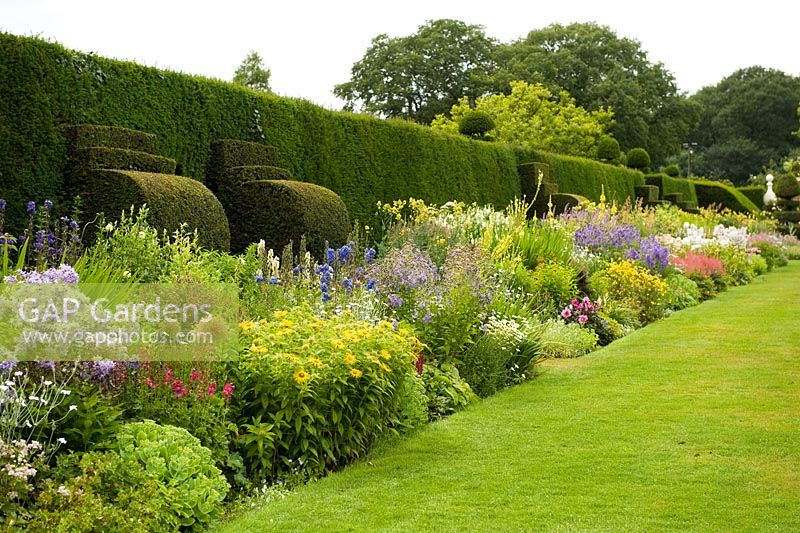Herbaceous border backed by a Taxus - Yew hedge, Between the beds are Yew finials designed by Rowland Egerton-Warburton and planted in 1856 - Arley Hall and Gardens, Cheshire, early July