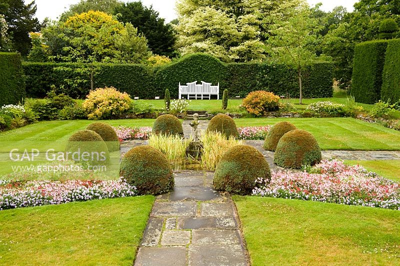 The fish garden was created in the 1920s by Lettice Waters and reflects the fashionable tastes of that time for sunken gardens. Contained by Taxis - Yew hedges, low bedding plants and mounds of Chamaecyparis pisifera 'Boulevard' surround a small formal pond - Arley Hall and Gardens, Cheshire, early July