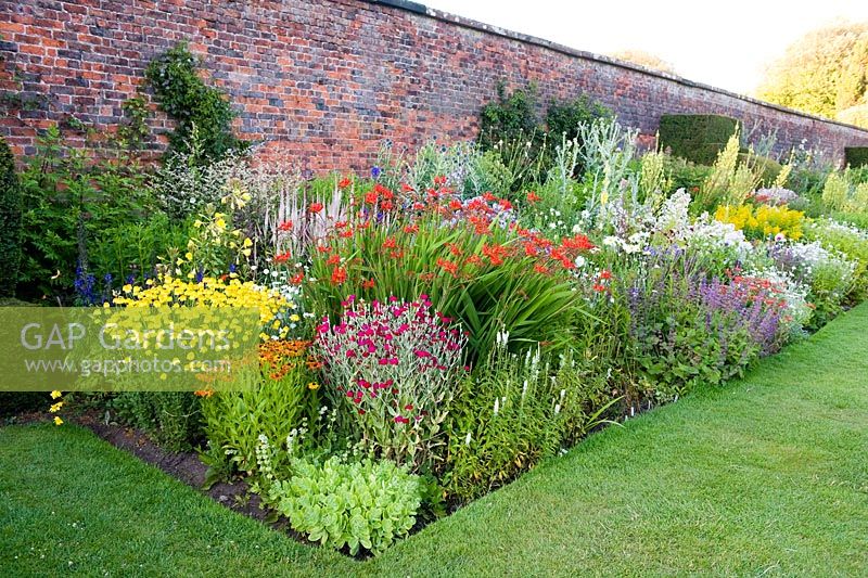 Herbaceous border in backed by an eighteenth century wall. Between the beds are handsome Taxus - Yew finials designed by Rowland Egerton-Warburton and planted in 1856 - Arley Hall, Cheshire, early July
