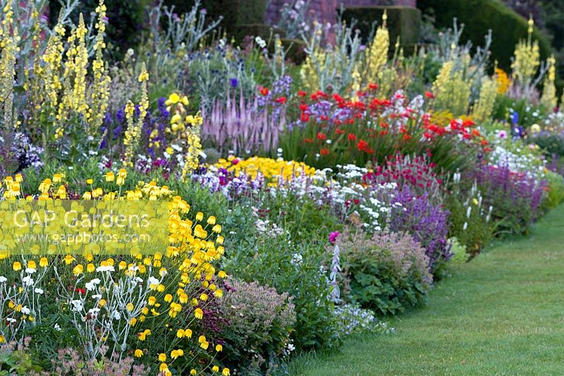 Herbaceous border in early July, at Arley Hall and gardens, Cheshire