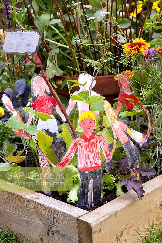 Miniature vegetable garden for children with Lactuca sativa - Lettuce