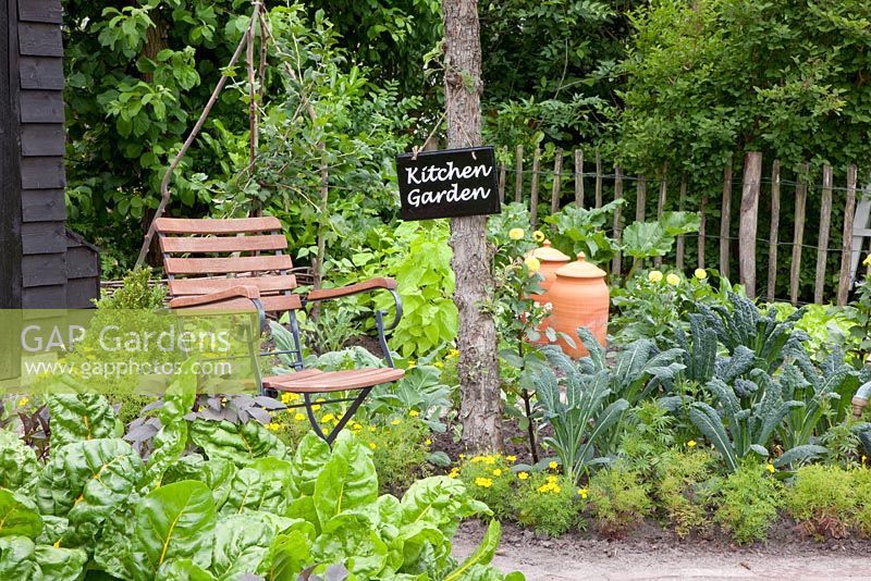 Potager with brick paths, wooden chair and beds with Brassica oleracea nero di toscana - Cavolo Nero, Beta vulgaris 'Bright Lights', Rhubarb forcer and Tagetes - Marigolds 
