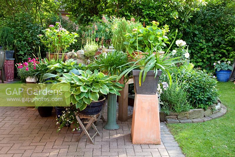 Brick patio with collection of pots including Hosta - Scheper Town Garden 